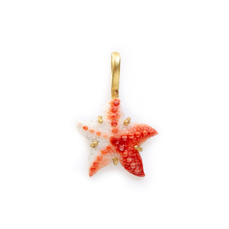 Colgante Estrella de Mar Roja
